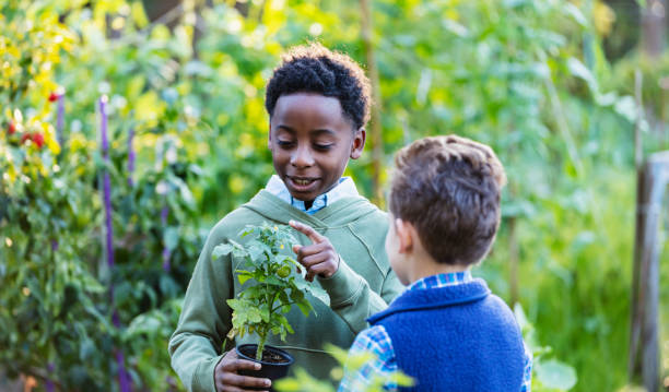 istock Multiracial boys examining plant at community garden 1364679462