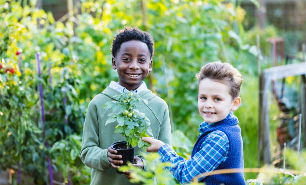 istock Two multiracial boys having fun at community garden 1364679473