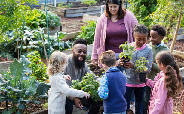 adulti con bambini, piantare nell'orto comunitario - teaching field trip classroom child foto e immagini stock