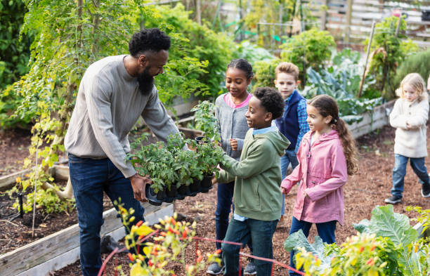 子供を持つ男、コミュニティガーデンで植える - teaching field trip classroom child ストックフォトと画像