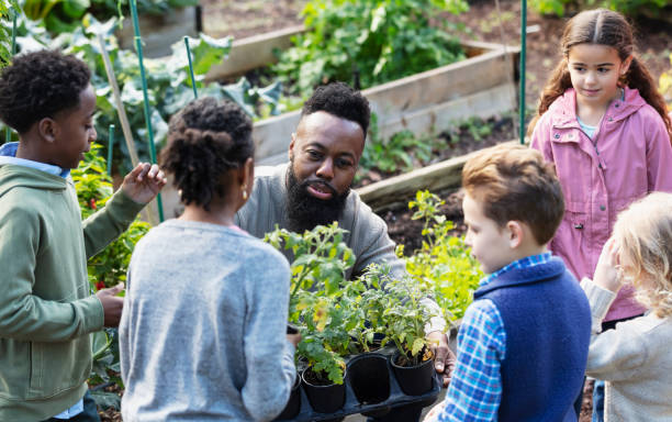 uomo con bambini, piantare nell'orto comunitario - teaching field trip classroom child foto e immagini stock