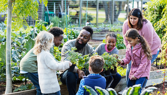 A mature African-American man teaching a group of five multiracial children how to grow vegetable plants in a community garden. He is holding a tray of potted plants, kneeling down so the girls and boys, 4 to 10 years old, can examine them as he talks. The boy standing beside him is his son. An Hispanic mother and her daughter are standing on the right.