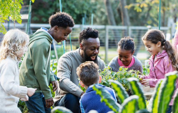 지역 사회 정원에서 식물에 대해 아이들을 가르치는 남자 - teaching field trip classroom child 뉴스 사진 이미지