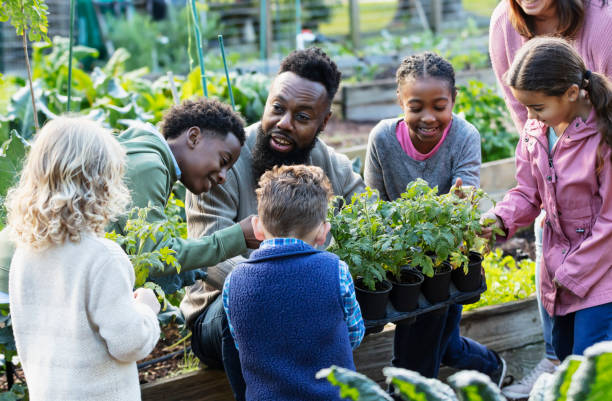 istock Man teaching children about plants in community garden 1364679538