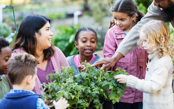 bambini che imparano a conoscere le piante nell'orto comunitario - teaching field trip classroom child foto e immagini stock