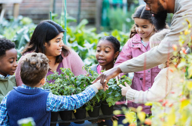 istock Children learning about plants at community garden 1364679570