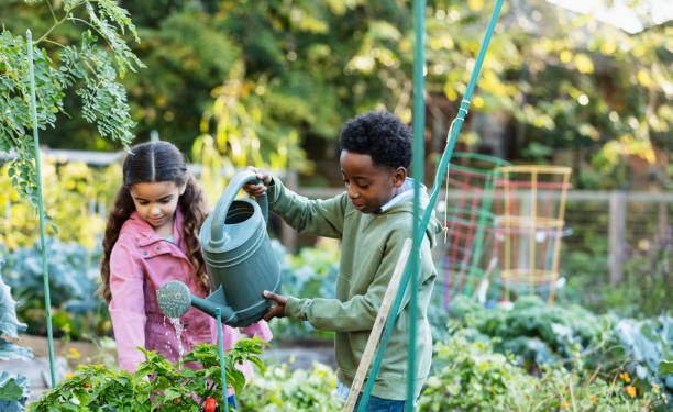istock Multiracial children water plants at community garden 1364679593
