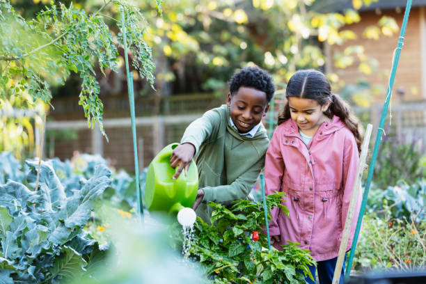 istock Multiracial children water plants at community garden 1364679621