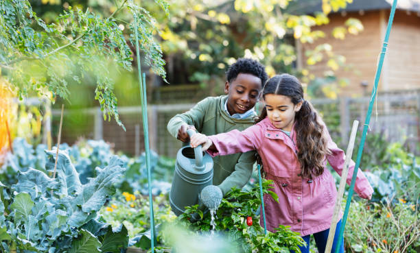 les enfants multiraciaux arrosent les plantes dans le jardin communautaire - smiling little girls little boys autumn photos et images de collection