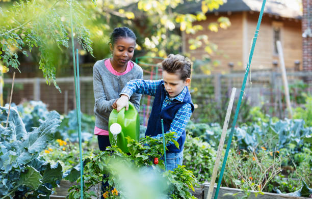 istock Multiracial children water plants at community garden 1364679637