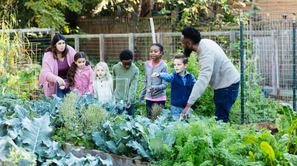 コミュニティガーデンで植物について学ぶ子供たち - teaching field trip classroom child ストックフォトと画像