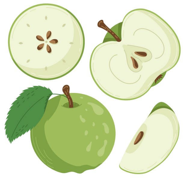 A set of apple fruit drawn in a flat style, slices and halves of fruit, leaves and bones. A set of stickers in pastel colours Vector illustration green apple slices stock illustrations