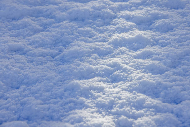 Pure white fresh snow in the morning sun