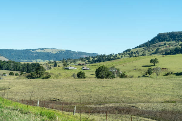 istock Rural landscape green fields and hills 1364689896