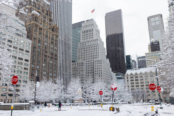 istock Winter in New York City 1364696276