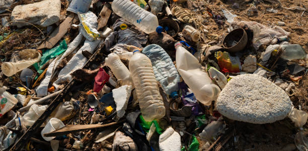 istock Polluted Sri Lankan beach with garbage 1364696336