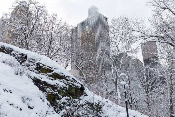 istock Winter in Central Park, Manhattan 1364696722
