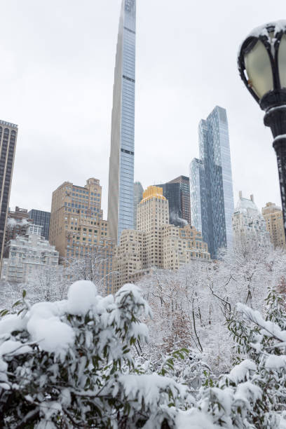 istock Winter in Central Park, Manhattan 1364696963