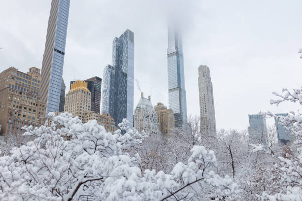 istock Winter in Central Park, Manhattan 1364696964