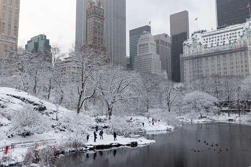 The pond in winter Central Park with famous Plaza Hotel and Manhattan skyscrapers in the background.