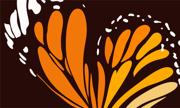 Butterfly color style vector with black background. Butterfly color style vector with black background. Butterfly's wings with orange color gradation. Design templates for background, social media, template, poster, invitation, card design and more butterfly wing patterns stock illustrations