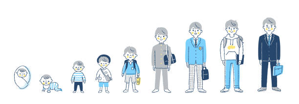 Male growth stages Male, growth, stage, child, adult, age, mixed age range stock illustrations