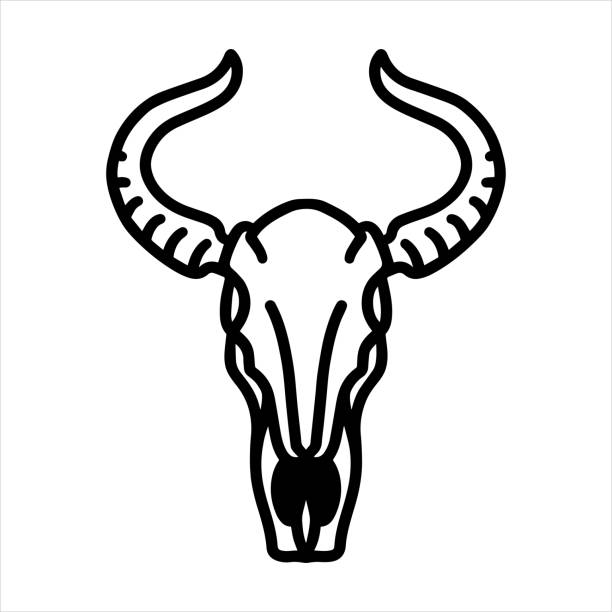 ilustrações, clipart, desenhos animados e ícones de crânio de vaca com chifre longo - long horn