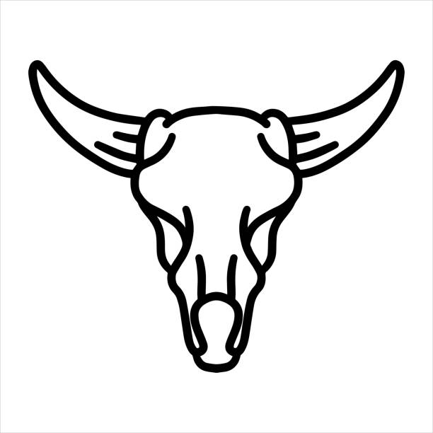 illustrazioni stock, clip art, cartoni animati e icone di tendenza di cranio di mucca disegnato a mano - horned death dead texas longhorn cattle