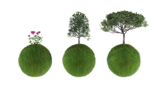 Young plant growth from the forest or seedling that is growing from the soil, idea for business startup concept, with copy space on the left on white background with clipping path.