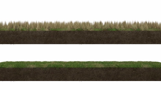istock abstract background of mockup terrain floor with dirt and grass, 3D illustration rendering 1364712471