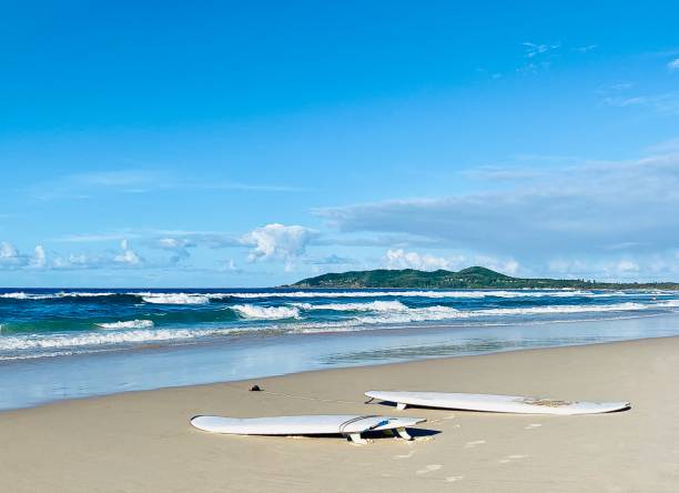 istock Surfboards on Sand on Summer Beach 1364715058