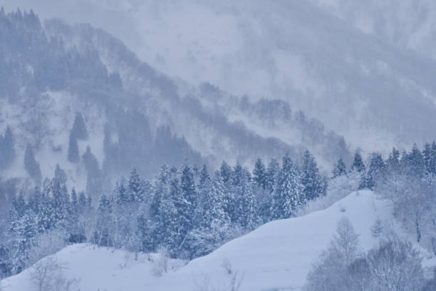 istock Winter scnery after snofall 1364716695