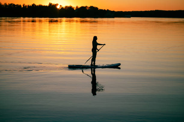 istock Female sup boarder with oar in hands moving around on river with marvelous sunset in background and reflection on water surface in summer. Active lifestyle 1364717310