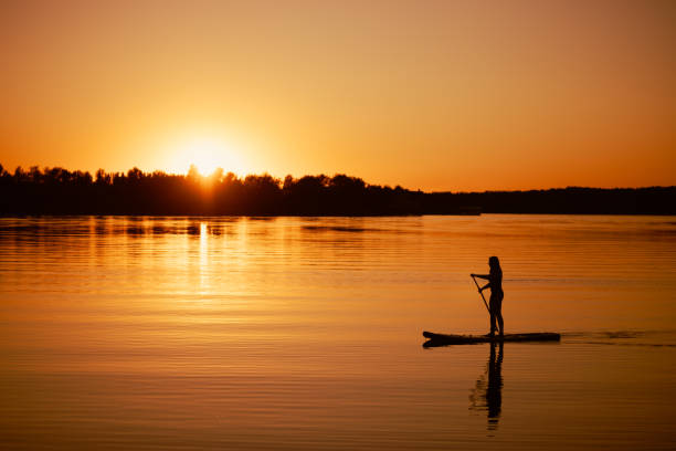 istock Woman on sup board with reflection on water surface rowing with oar in hands on evening lake with lovely sunset and trees in background. Active lifestyle 1364717419