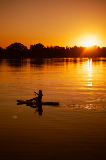 istock Lady silhouette sitting on sup board having paddle in hands on lake with sun setting behind horizon in background covering water surface with orange and yellow color. Active lifestyle 1364717505