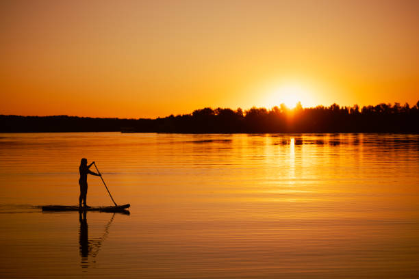 silhouette of woman sup boarding solo having paddle in hands on calm lake with sun almost set below horizon in background covering water surface with orange color. active lifestyle - reflection imagens e fotografias de stock