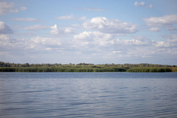 istock Nice panoramic view of lake with ripples on water and clear blue sky with few white gray clouds drifting along background. Closer to nature away from city 1364717596