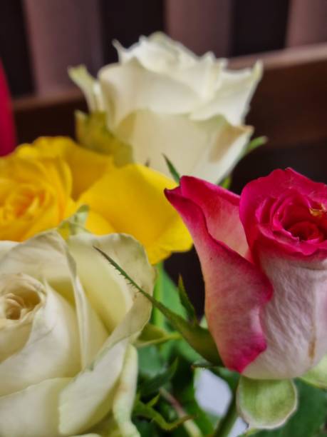 istock Colorfull roses for Valentine's day 1364719203