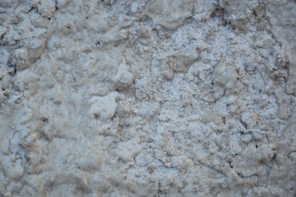 istock Patterns and textures of frozen ground in winter 1364719241