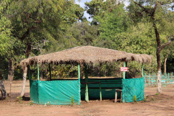 istock A hut of dry grass built in the forest 1364719816