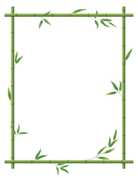 bambus-dekoration. vektorrahmen. naturhintergrund mit kopierraum. - bamboo green frame sparse stock-grafiken, -clipart, -cartoons und -symbole