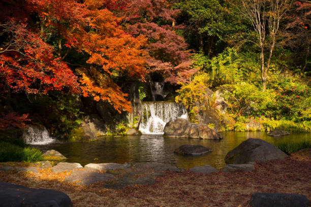 istock Streaming waterfall with autumn foliage in Osaka, Japan 1364721965
