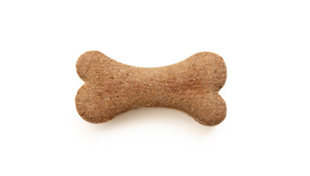 istock Dog food biscuit shape bone isolated on white background 1364722053