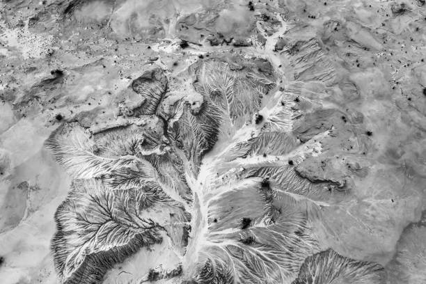 istock D Mungo Lake creek top down BW dry tree 1364722838