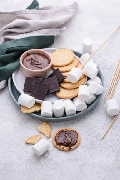 istock Smores with marshmallow, chocolate and crackers 1364723590