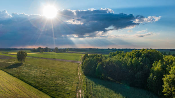 istock Field with trees landscape from aerial 1364727795