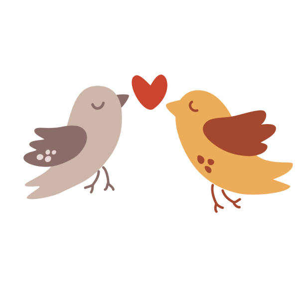 Cute birds with hearts. Lovebirds. For postcards, printing, Valentine's Day, invitations and wedding. Animals Characters. Vector cartoon illustration. Cute birds with hearts. Lovebirds. For postcards, printing, Valentine's Day, invitations and wedding. Animals Characters. Vector cartoon illustration. wedding clipart stock illustrations