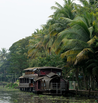 Beautiful landscapes from the back waters of kerala.