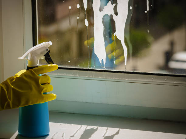 istock Person spraying window cleaning detergent 1364740172