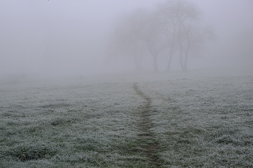 A footpath leading to the woods on a misty, foggy cold morning